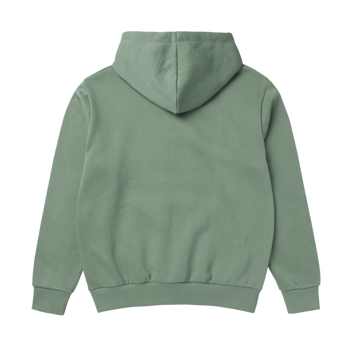 Mystic Icon Hood Sweat Frozen Green 2025 image 1