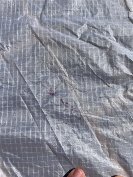 North Code Zero 9m 2023 image 6